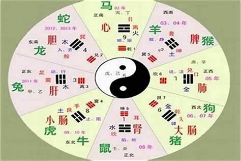 莉五行|莉字的五行属性